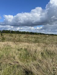 Продаж земельної ділянки під житлову забудову на вул. Зарічна Нова, 15 соток фото 4 Продаж земельної ділянки під житлову забудову на вул. Зарічна Нова, 15 соток фото 4