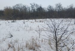 Продаж земельної ділянки комерційного призначення, площа 50 соток фото 4 Продаж земельної ділянки комерційного призначення, площа 50 соток фото 4