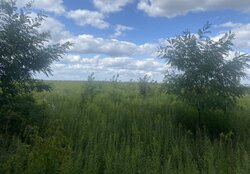 Продаж земельної ділянки під житлову забудову, площа 6 соток фото 3 Продаж земельної ділянки під житлову забудову, площа 6 соток фото 3