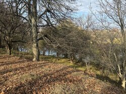 Продаж земельної ділянки під житлову забудову на вул. Чумацька, площа 20 соток фото 2 Продаж земельної ділянки під житлову забудову на вул. Чумацька, площа 20 соток фото 2