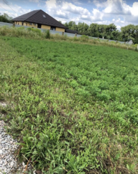 ������ �������� ������ ��������������������� �����������, ����� 8 ����� ���� 1