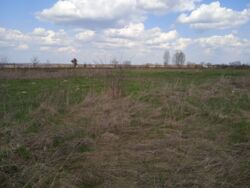 ĳ����� �� �������� �� ³�������� ������� ���� 6