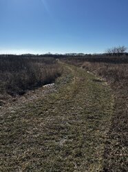 Продаж земельної ділянки під житлову забудову, площа 6 соток фото 1 Продаж земельної ділянки під житлову забудову, площа 6 соток фото 1