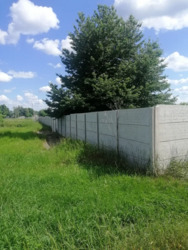 Продаж земельної ділянки, площею 1 га. фото 4 Продаж земельної ділянки, площею 1 га. фото 4