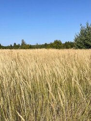 Продаж земельної ділянки під житлову забудову, площа 8 соток фото 1 Продаж земельної ділянки під житлову забудову, площа 8 соток фото 1