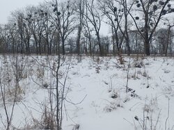 Продаж земельної ділянки комерційного призначення, площа 50 соток фото 2 Продаж земельної ділянки комерційного призначення, площа 50 соток фото 2