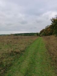 Продаж земельної ділянки 84.6 соток, с. Лука-Мелешківська. фото 1 Продаж земельної ділянки 84.6 соток, с. Лука-Мелешківська. фото 1