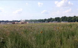 Земельна ділянка, м.Вінниця р-н Тяжилів, Костел. фото 1 Земельна ділянка, м.Вінниця р-н Тяжилів, Костел. фото 1