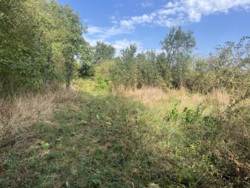 Продається ділянка Вінницька, Вінниця, Передмістя, Вінницькі Хутори, Незалежності фото 4 Продається ділянка Вінницька, Вінниця, Передмістя, Вінницькі Хутори, Незалежності фото 4