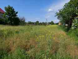 Продається ділянка Вінницька, Вінницький, Гавришівка, м. Гнівань фото 1 Продається ділянка Вінницька, Вінницький, Гавришівка, м. Гнівань фото 1