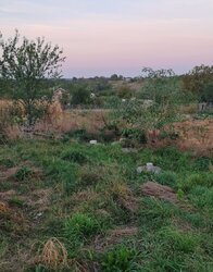 Продаж земельної ділянки під житлову забудову на Вінницьких Хуторах, площа 5 соток фото 1 Продаж земельної ділянки під житлову забудову на Вінницьких Хуторах, площа 5 соток фото 1