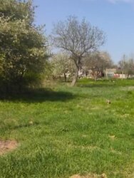 ������ �������� ������ �� ������� �������� �� ���. ��� �������, ����� 15 ����� ���� 1