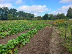 ��������� ������ ³�����, ³�������, ���������, �������� ���� 7