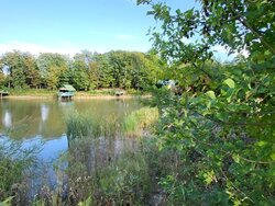 Продаж земельної ділянки під житлову забудову на вул. Цегельна, площа 30 соток фото 5 Продаж земельної ділянки під житлову забудову на вул. Цегельна, площа 30 соток фото 5