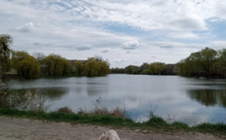 Продається ділянка Вінницька, Вінниця, Передмістя, Вінницькі Хутори, Чумацька фото 1 Продається ділянка Вінницька, Вінниця, Передмістя, Вінницькі Хутори, Чумацька фото 1