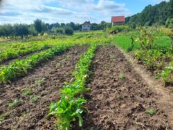 ��������� ������ ³�����, ³�������, ���������, �������� ���� 1