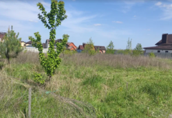 ������ �������� ������ �� ������� �������� �� 3-� ����. ������� ��������, ����� 9 ����� ���� 2