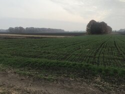 ������ �������� ������ ��������������������� ����������� �� ���. ���������, ����� 10 ����� ���� 2