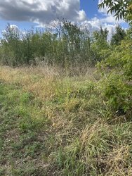 Продаж земельної ділянки під житлову забудову на вул. Данила Нечая, с. Бохоники, 30 соток фото 2 Продаж земельної ділянки під житлову забудову на вул. Данила Нечая, с. Бохоники, 30 соток фото 2