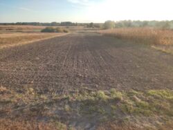 ��������� ������ ���������, ³��������, ³������� ���� 1