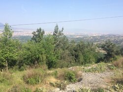 Продаж земельної ділянки під житлову забудову на вул. Ватутіна, площа 25 соток фото 1 Продаж земельної ділянки під житлову забудову на вул. Ватутіна, площа 25 соток фото 1