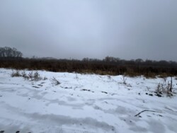 ������ �������� ������ �� ������� �������� �� ���. ��������, ��������� ������ ���� 3