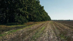 Продаж земельної ділянки під садівництво 8 соток, с. Бохоники фото 10 Продаж земельної ділянки під садівництво 8 соток, с. Бохоники фото 10