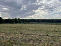 Продаж земельної ділянки сільськогосподарського призначення, площа 24 сотки фото 3 Продаж земельної ділянки сільськогосподарського призначення, площа 24 сотки фото 3