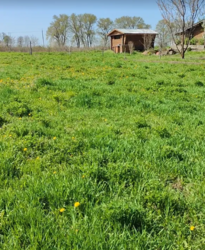 ������ �������� ������ ��������������������� �����������, �� ���. ����� ������, ����� 8.4 ����� ���� 1