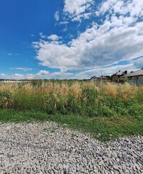 Продаж земельної ділянки під житлову забудову, 2-й пров. Чупринки Григорія, 7.71 сотки фото 2 Продаж земельної ділянки під житлову забудову, 2-й пров. Чупринки Григорія, 7.71 сотки фото 2