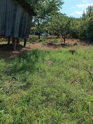 ������ �������� ������ �� ������� ��������, ����� 15 �����, �. г���� ���� 4