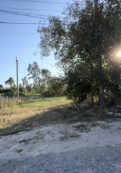 Продаж земельної ділянки сільськогосподарського призначення, смт. Стрижавка, 7 соток фото 1 Продаж земельної ділянки сільськогосподарського призначення, смт. Стрижавка, 7 соток фото 1