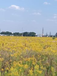 ������ �������� ������, ���. ���������, 6 ����� ���� 7