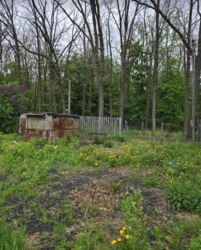 Продаж земельної ділянки під житлову забудову на вул. Українська, площа 5 соток фото 2 Продаж земельної ділянки під житлову забудову на вул. Українська, площа 5 соток фото 2