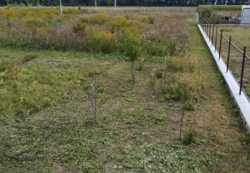 ������ �������� ������ �� ������� ��������, ����� 7 ����� ���� 1