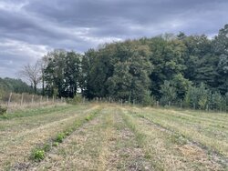 Продаж земельної ділянки сільськогосподарського призначення, площа 24 сотки фото 1 Продаж земельної ділянки сільськогосподарського призначення, площа 24 сотки фото 1