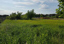 Продаж земельної ділянки під житлову забудову на Лесі Українки, площа 25 соток фото 1 Продаж земельної ділянки під житлову забудову на Лесі Українки, площа 25 соток фото 1