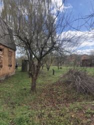 ������ ������, ���������� ����� ���� 3