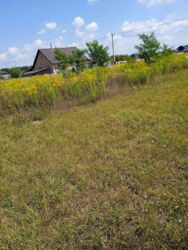 Продаж земельної ділянки, с. Бохоники фото 5 Продаж земельної ділянки, с. Бохоники фото 5