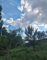 Продаж земельної ділянки під житлову забудову на вул. Крутнів Яр, площа 30 соток фото 9 Продаж земельної ділянки під житлову забудову на вул. Крутнів Яр, площа 30 соток фото 9