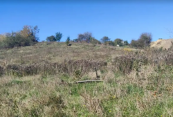 ������ �������� ������ � �. ��������, 17 ����� ���� 3