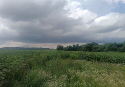 ������ �������� ������ ��������������������� �����������, ����� 1.3 �� ���� 2