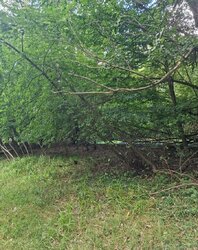 Продаж земельної ділянки під житлову забудову на вул. Крутнів Яр, площа 30 соток фото 12 Продаж земельної ділянки під житлову забудову на вул. Крутнів Яр, площа 30 соток фото 12