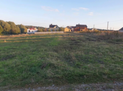 ��������� ������ ������-����������, ³��������, ³������� ���� 2