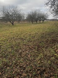 Продаж земельної ділянки під житлову забудову на просп. Лесі Українки, площа 11.7 сотки фото 2 Продаж земельної ділянки під житлову забудову на просп. Лесі Українки, площа 11.7 сотки фото 2