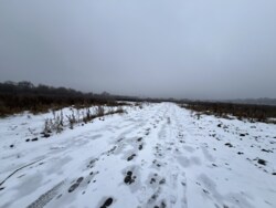 ��������� ������ ³�������, ³�����, �������������, ������, ������, 5 ����� ���� 12