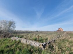 ������ �������� ������ �� ������� ��������, ����� 30 ����� ���� 2