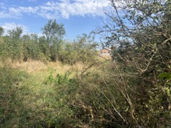 Продається ділянка Вінницька, Вінниця, Передмістя, Вінницькі Хутори, Незалежності фото 3 Продається ділянка Вінницька, Вінниця, Передмістя, Вінницькі Хутори, Незалежності фото 3