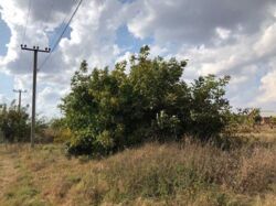 ��������� ������ ������, �����������, ³������� ���� 2