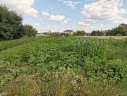 ������ �������� ������ ���� 5